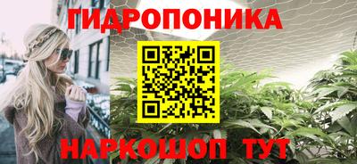 дмт Камышлов
