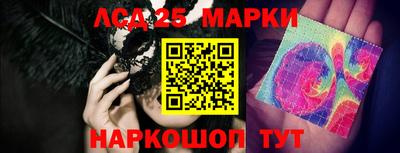 spice Кандалакша