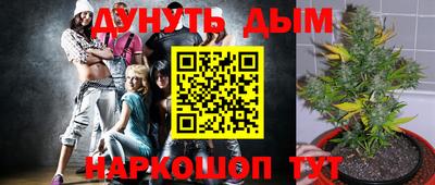 дмт Камышлов