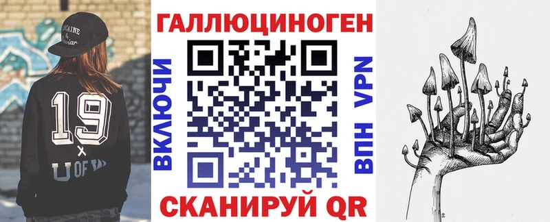 сколько стоит Тайшет Галлюциногенные грибы Psilocybine cubensis