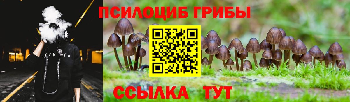 Псилоцибиновые грибы MAGIC MUSHROOMS Тайшет